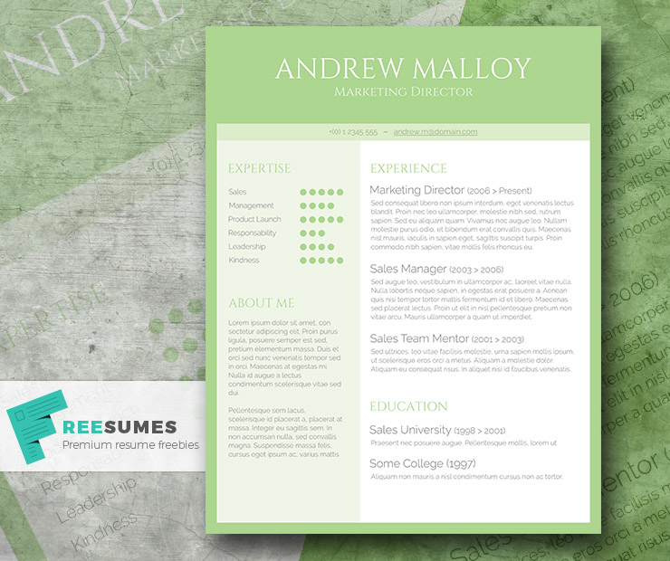 free creative resume template downloads
