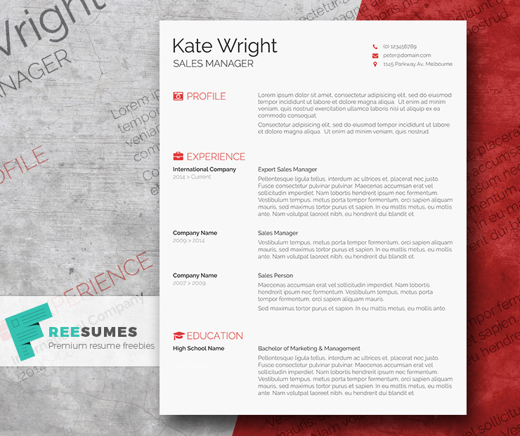 template beautiful resume free download word
