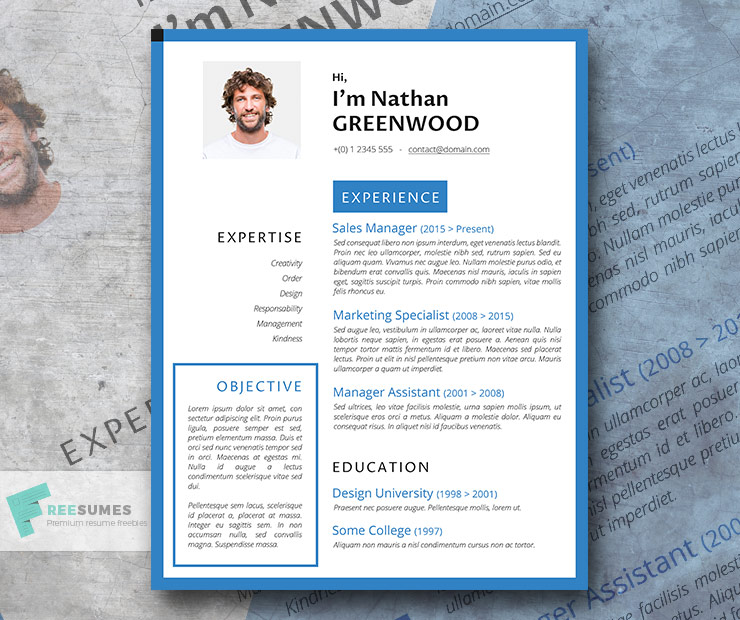 level up free resume download